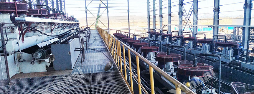 Flotation cells in the mineral processing plant.jpg